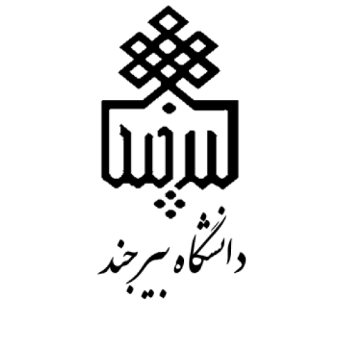 دانشگاه بیرجند